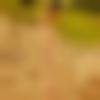 Male Photo - Amit