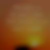 woman seeking men Ashtamichira near me photo - Ahana