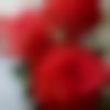 woman seeking men Narnaul near me photo - Bebyna