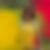 woman seeking men Gobardanga near me photo - Maria