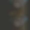 woman seeking men Didwana near me photo - Hareen