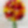 Matrimony Male Profile Nagpur
