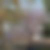 woman seeking men Churachandpur near me photo - Hohoi