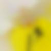woman seeking men Chandauli near me photo - Preeti