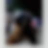 woman seeking men Buldhana near me photo - Prachi