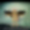 Single Male - Amit