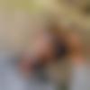 Matrimony Male Profile Surat