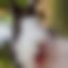 woman seeking men Madgaon near me photo - 98grace