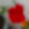 woman seeking men Lunawada near me photo - Aanya