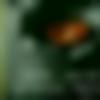 woman seeking men Bhuj near me photo - Rathod
