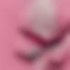 Single Female - Sahin
