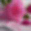 woman seeking men Kapurthala near me photo - Meenu