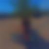 woman seeking men Meghalaya photo - Lixia