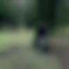 Single Male - Sourabh