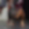 Single Male - Abhi