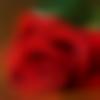woman seeking men Pusad near me photo - Pallbi