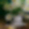 woman seeking men Irinjalakuda near me photo - Jeeva