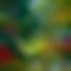 Awadhi member profile Photo, Email, Address and Contact Details - Rani