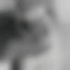Barwala Male Photo - Dr