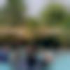 Male Photo - Zala