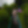 Female Photo - Daphishisha