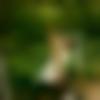 Rajpipla Male Photo - Nilesh