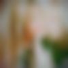 woman seeking men Palanpur near me photo - Marjina