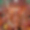 woman seeking men Pachore near me photo - Nemai