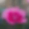 woman seeking men Durgapur near me photo - Ishika