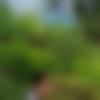 woman seeking men Diphu near me photo - Klarbon