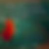woman seeking men Dhampur near me photo - Piyus