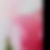 woman seeking men Mangalwedha near me photo - Sonali