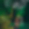 woman seeking men Mizoram photo - Ahlimi