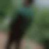 Single Male - Vollyball