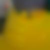 woman seeking men Hoskote near me photo - Shyamal