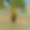 woman seeking men Gudivada near me photo - Samaira