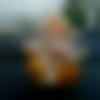Male Photo - Jampi