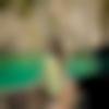 Female Photo - Arathy
