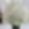 Male Photo - Vijeet