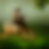 Tonk Male Photo - Raju