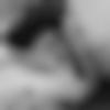 Male Photo - Raz