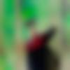 Male Photo - Sunil