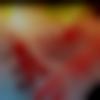 woman seeking men Ongole near me photo - Dammu