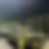 Kutchi Dating Male - Zyen