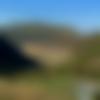 Himachal Pradesh single Male - Rohit