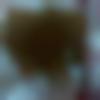 Single Male - Ramses91