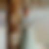 woman seeking men Kanchipuram near me photo - Chitra