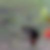 woman seeking men Akbarpur near me photo - Sabiha