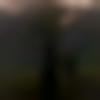 woman seeking men Howrah near me photo - Vaishnavi