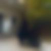 Single Male - Rupam